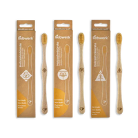 Holz-Zahnbürsten in Kartonverpackung für RICINE Zahnbürste Liebwerk